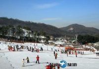 韩国芝山森林滑雪度假村