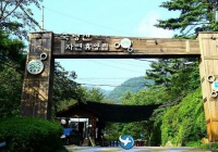 韩国祝灵山自然休养林