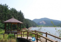 韩国国立希里山海松自然休养林