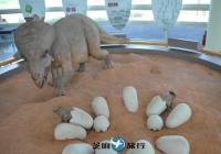韩国华城恐龙蛋化石遗址